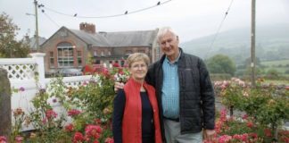 All is rosy in this Kilfinane garden