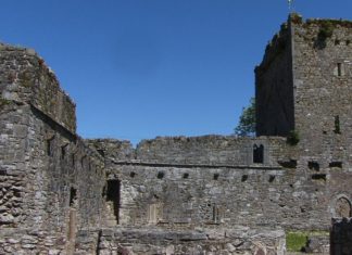 Castlelyons Carmelite Friary