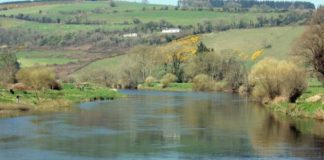 Major clean-up of Blackwater planned for New Year