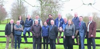 Calf care events launched – local events scheduled