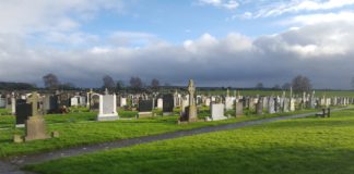 Approval for memorial tree in Kilcrumper New Cemetery