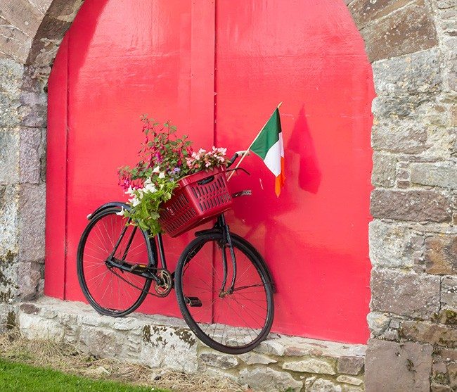 S129531-masterimage-R2758-appeal-as-tidy-towns-bicycles-stolen-from-castlelyons