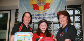 Artistic Eve wins safety campaign prize