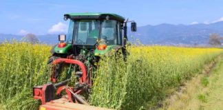 Farmland prices down in Avondhu area