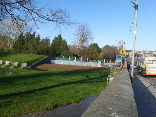S52668-xlimage-R6202-the-people-of-rathealy-road-thomas-street-frances-street-and-brian-boru