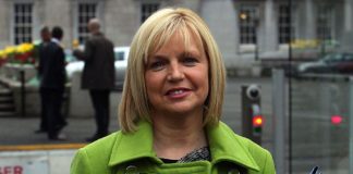 Sinn Féin’s McLellan bows out of upcoming general election race