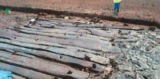 In our Centenary, 3,000 years of Irish history mulched for potting compost