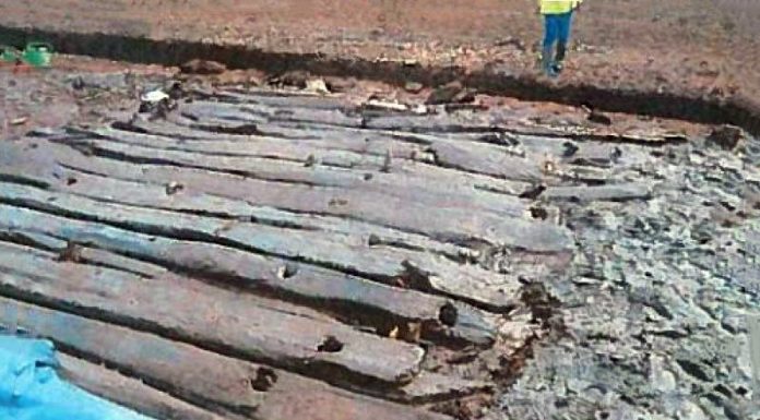 In our Centenary, 3,000 years of Irish history mulched for potting compost