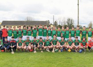 Gallant effort ends in Munster final defeat for Mitchelstown hurlers