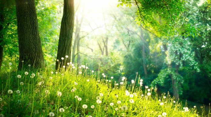 Pobal Dé agus an Dúlra