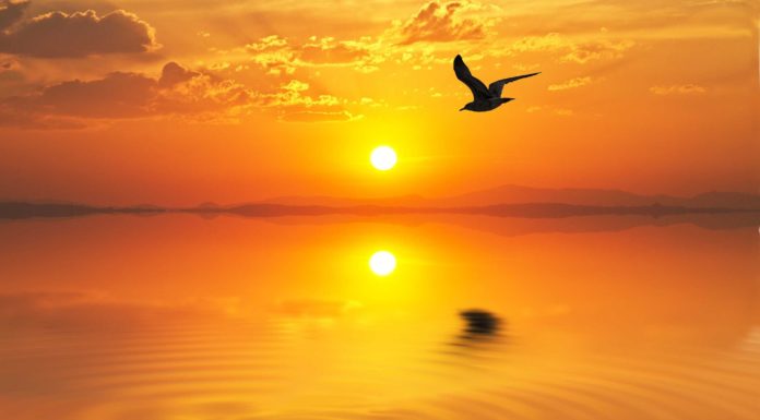 Draíocht na gréine