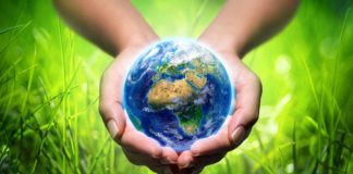 Pope Francis: the Gospel goes green