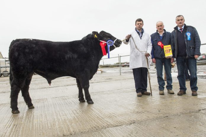 Kilmallock Reserve Champion 2