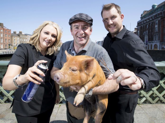 Farmer in Charge l-r Claire Reddin, Maurice Walsh and Nick Reddi