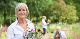 Mallow – the premier garden show