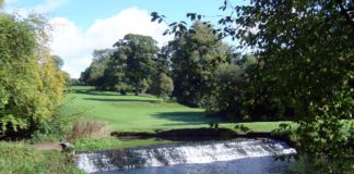 IFA announces series of Forest Walks for Green Ribbon Campaign this May