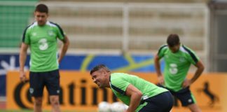 Survey of Irish fans says Ireland will progress