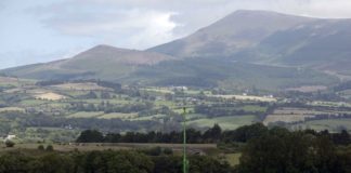 Kerrygold plant to open in September