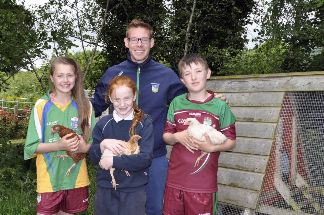Chicks thrive in Kilbehenny - The Avondhu Newspaper
