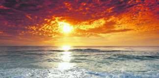 Tips and advice for anyone planning a trip to the beach!