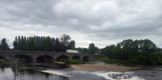 Salmon unable to negotiate Fermoy weir