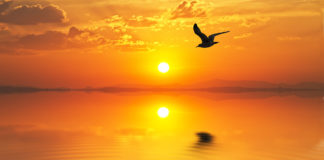 Lifting people out of darkness into the light