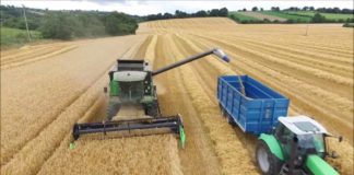 Winter Barley Harvesting – Conna