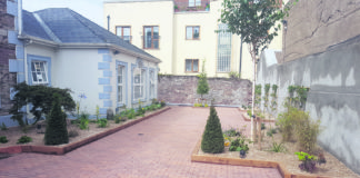 Community garden opens in Fermoy Resource Centre