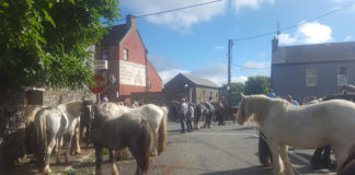 Sun shines as crowds flock to Tallow Horse Fair