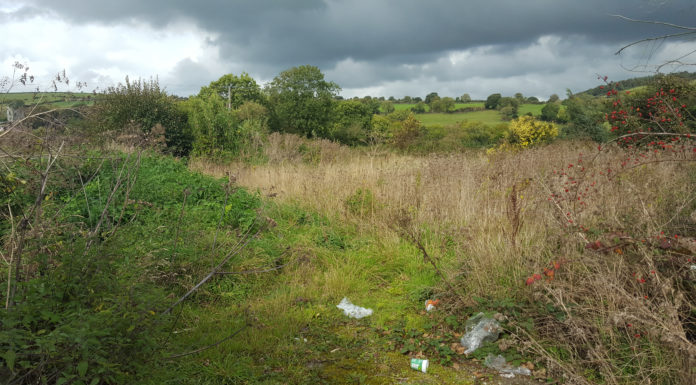 Derelict site in Tallow to be transformed into amenity site