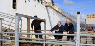 Farmers benefit from live exports as ship sails to Turkey