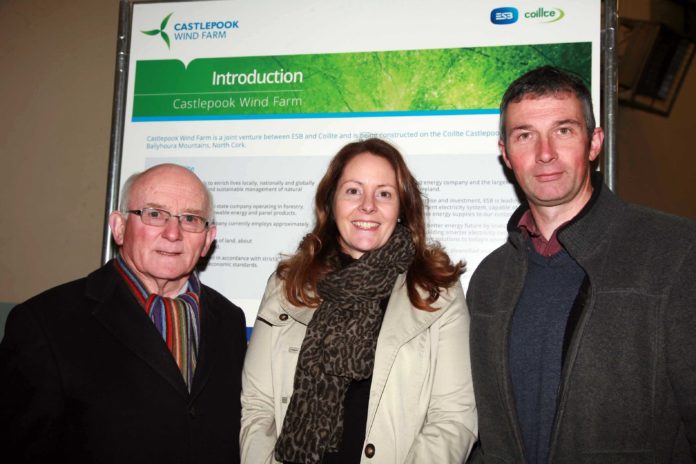 Doneraile-Wind-Farm-3@29-11-2016-10:01:01.jpg
