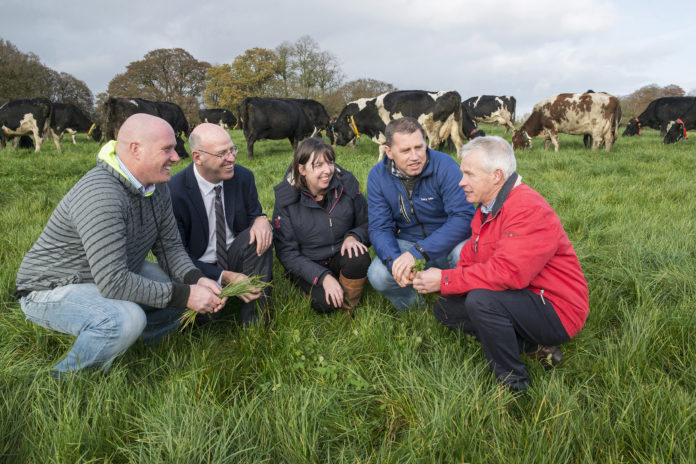 Teagasc Dairy Conference@15-11-2016-10:53:09.jpg
