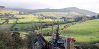 Excitement builds ahead of Anglesboro Tractor Run