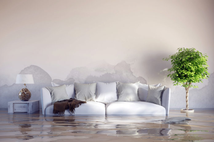 Flood-Interior@16-12-2016-13:47:08.jpg