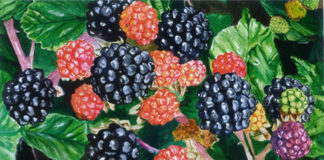 Alexandra features in Texaco Calendar