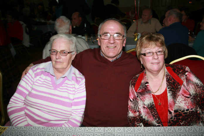 Castlelyons-Senior-Citizens-Party-5@25-01-2017-10:13:13.jpg