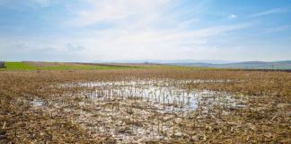 Flexibilities to protect areas in ANC Review highlighted at EU meeting