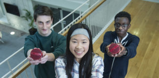 Presentation TY student part of winning TechnoDen team