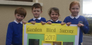 Garden Bird Survey launched at Kilmagner NS