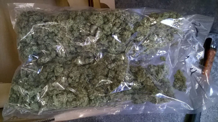 Drugs-Haul-Cannabis-Glanmire-1920px@15-03-2017-19:32:16.jpg