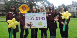 Mitchelstown students in ECO-Den Munster finals