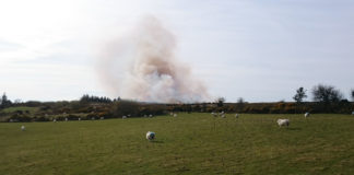 Kilworth and Knockmealdown wildfires reported to European Commission