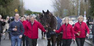 Record 19 Irish-trained winners at Cheltenham