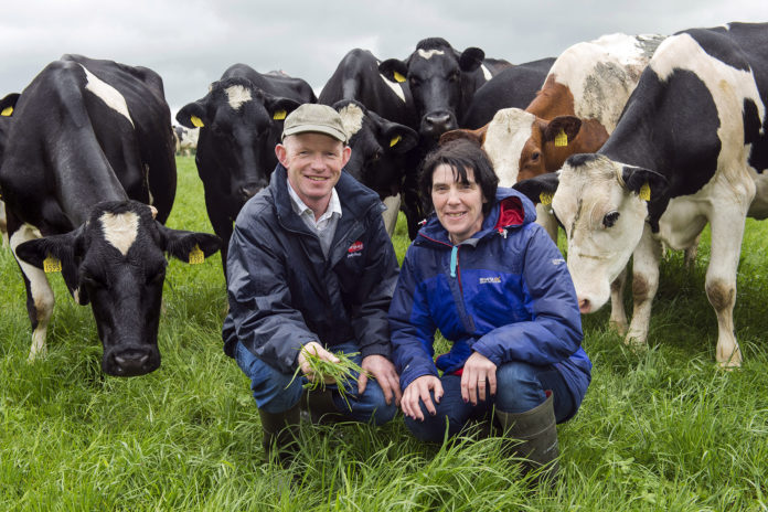 Dairygold Award Winners 3