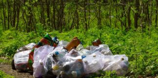 Five animal carcasses and several barrels of blood – just another day in the office for John