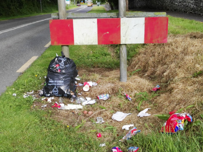 Rubbish dumped Mallow Road@30-05-2017-16:31:19.jpg