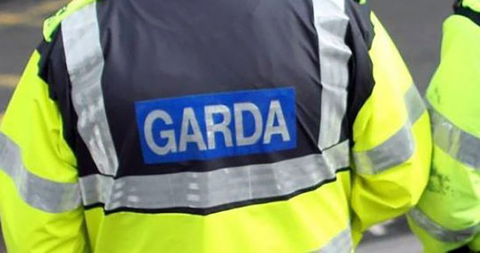 Garda HiVis Jacket 1920px@13-06-2017-18:41:41.jpg