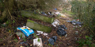 Mitchelstown residents seek council’s assistance in clearing overgrown laneway