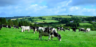Macra na Feirme’s 2017 Photo Competition at halfway stage